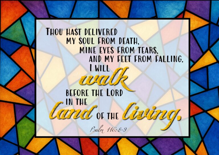 CIC Calendar 2026 - November 1