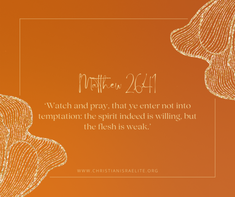 Overcoming Sin. Matthew 26:41.