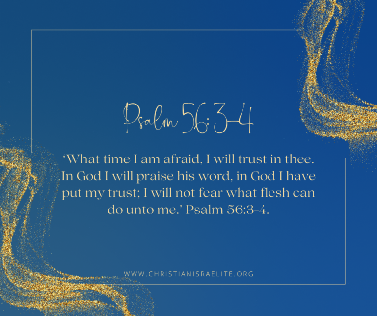 Trusting in God. Psalm 56:3-4