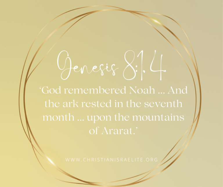 Mountain Moments with God